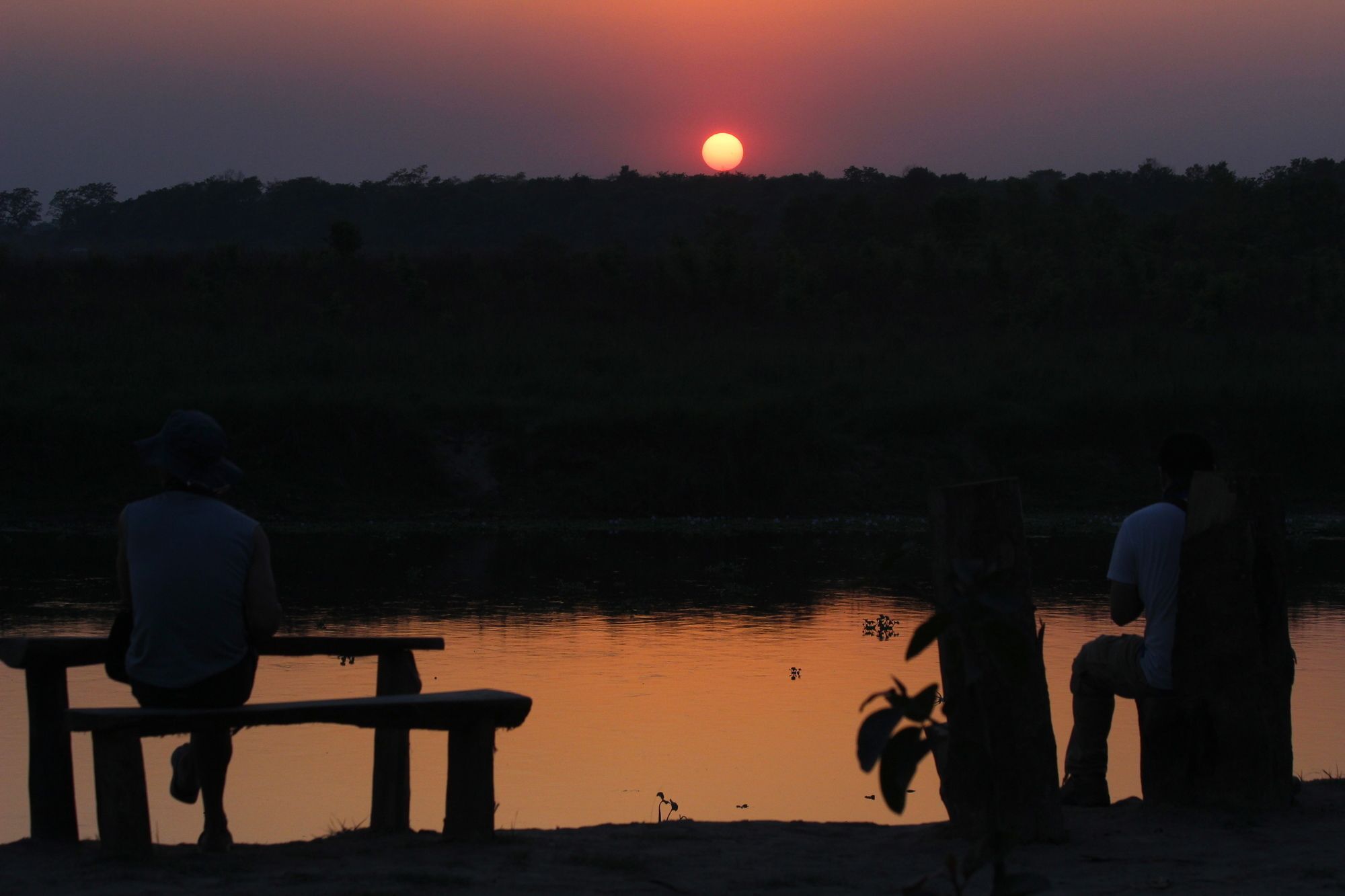 Hotel Jungle Sunset Camp Sauraha Exterior foto