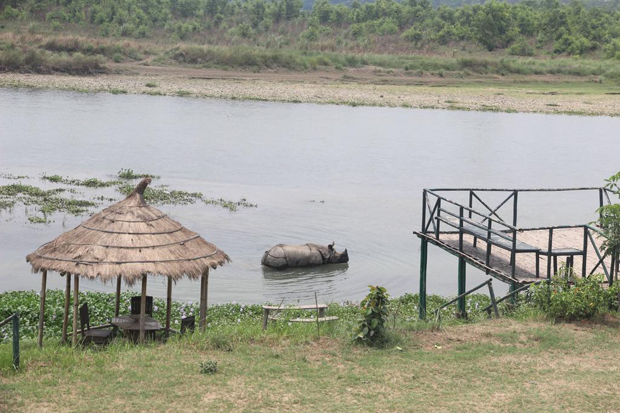 Hotel Jungle Sunset Camp Sauraha Exterior foto